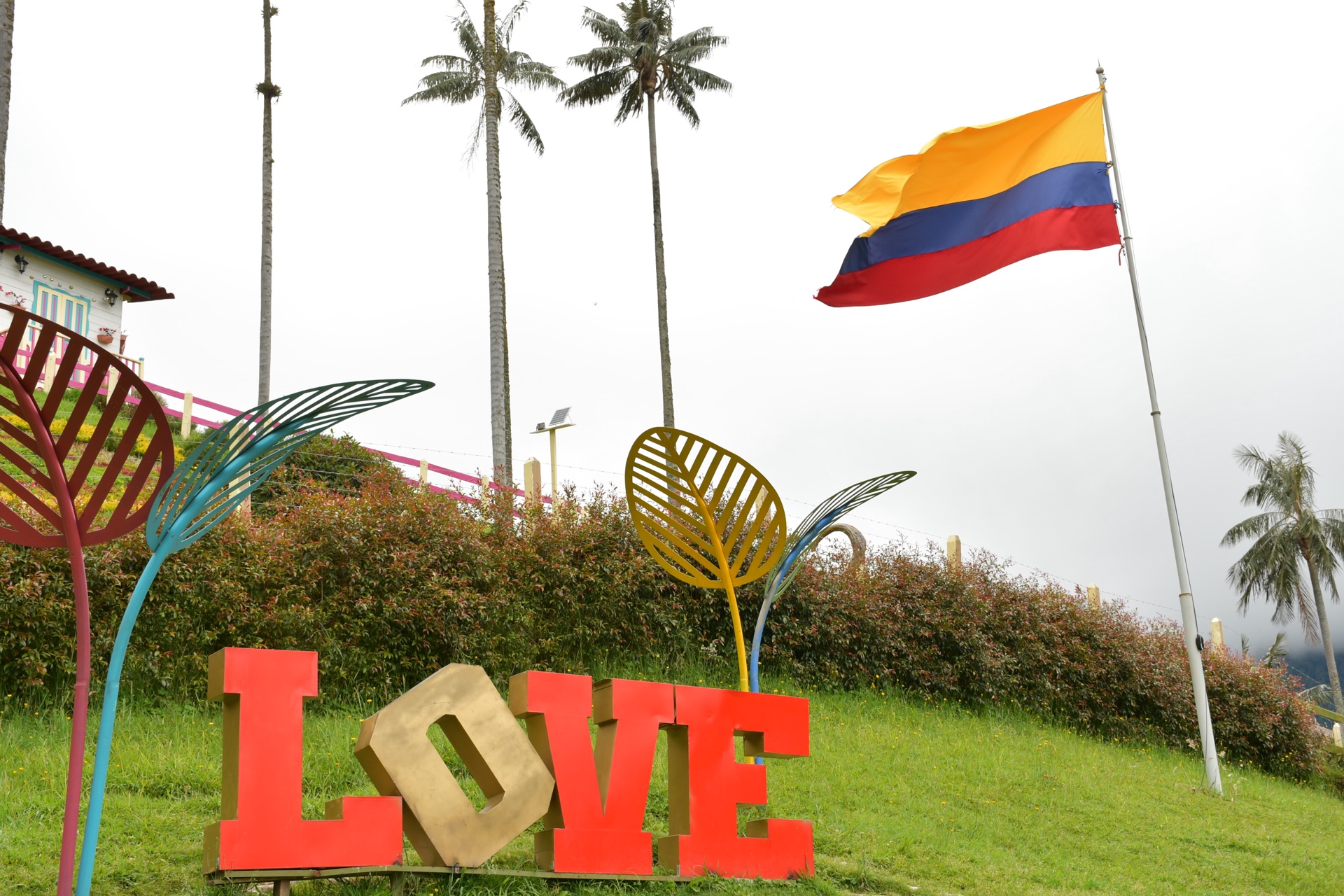 Visitantes disfrutando La Vida Bella en el Valle de Cocora