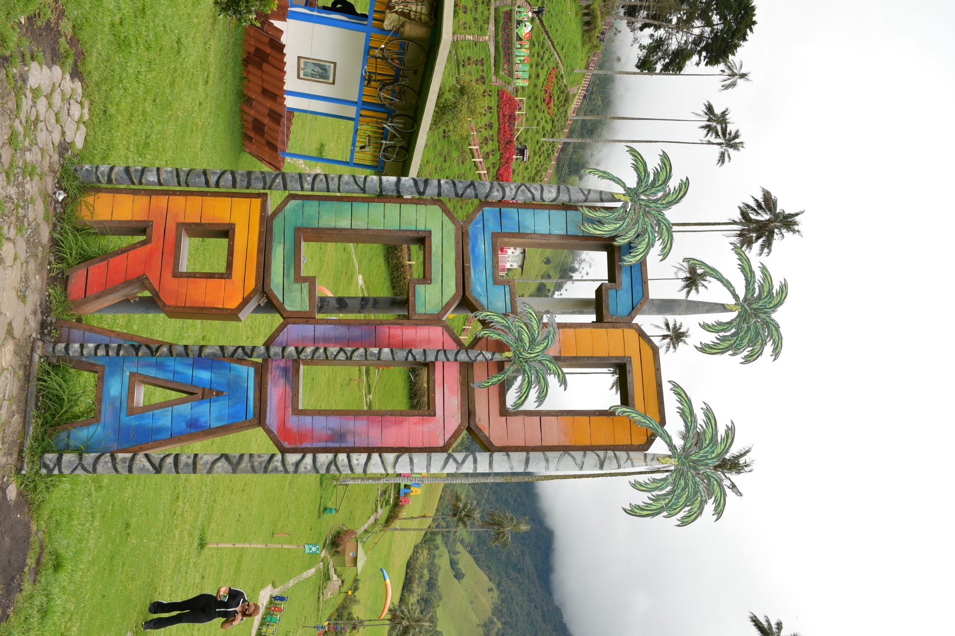 Visitantes disfrutando La Vida Bella en el Valle de Cocora