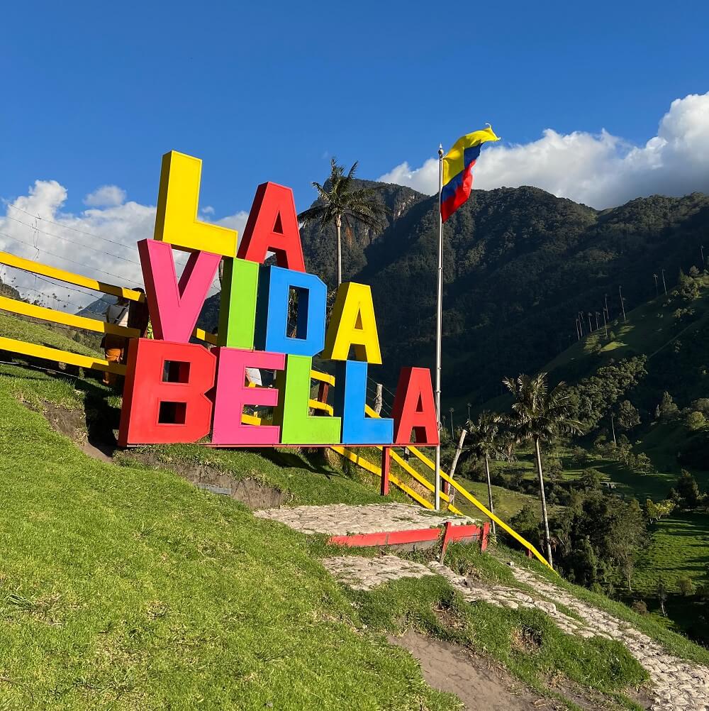 Visitantes en La Vida Bella